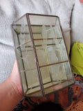 Vintage glass case