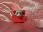 Racoon in trash can mini trinket