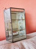 Vintage glass case