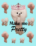 Pretty Pretty Poodle
